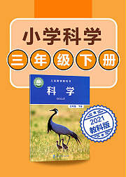 小学科学三年级下册科学教科版2021