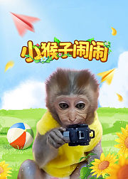 小猴子闹闹