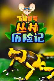 飞鼠可可丛林历险记
