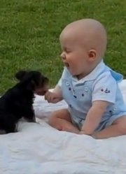 宝宝婴儿萌宝