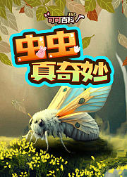 可可百科365：虫虫真奇妙（精选包）