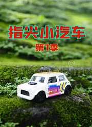 指尖小汽车第7季