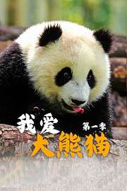 我爱大熊猫第1季