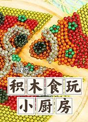 积木食玩小厨房第3季