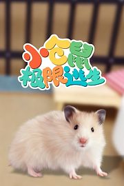 小仓鼠极限逃生