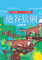 沈石溪推荐动物小说新版·绝谷猞猁