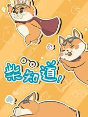 柴知道2018
