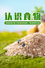 小小探险家：食物王国奇遇记