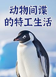 点点通L3巧填运算符号-例题