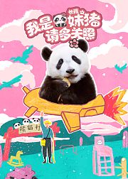我是妹猪请多关照