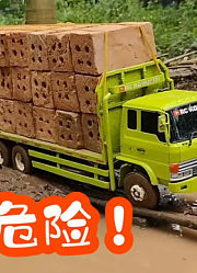 丁丁冒险队的2023年合集