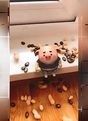 猪小屁：小屁嫌妈妈大吵大闹，接下来的一幕太搞笑了！