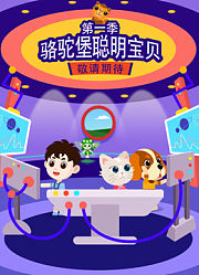 骆驼堡聪明宝贝