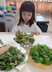 嘻嘻贝的2025年合集