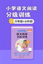 小学语文阅读分级训练六年级+小升初上