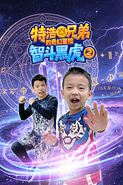 特浩兄弟的奇幻冒险：智斗黑虎第2季