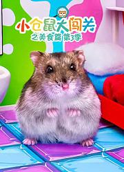 小仓鼠大闯关之美食篇第3季
