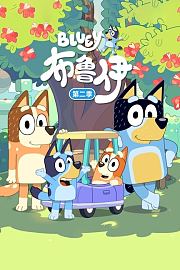 布鲁伊第2季