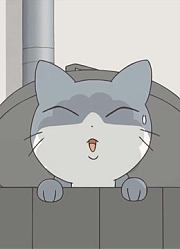 哈啰小梅子：梅子看到了猫咪，让妈妈也看看，结果猫咪吓得逃走了