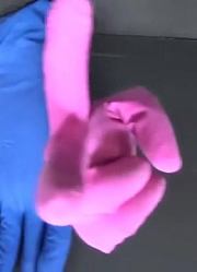 361亲子游戏：太有趣了，小仓鼠是怎么越过所有复