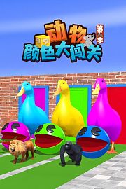 动物颜色大闯关第5季