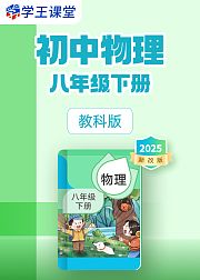 2025新改版教科版初中物理八年级下册