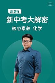 新课标新中考大解密核心素养化学