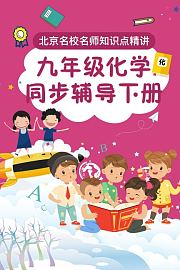 九年级化学同步辅导下册