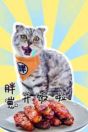 胖崽开饭啦