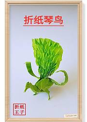折纸神谷哲史琴鸟教程