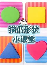 猫爪形状小课堂