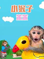 小猴子笨笨