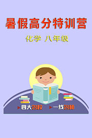 暑假高分特训营：化学八年级