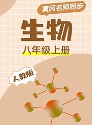 黄冈人教版物理九年级全一册