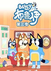 布鲁伊第3季英文版