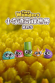 小奇迹微观世界第4季
