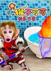 小猴子可可快乐日常