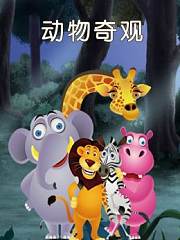 动物奇观