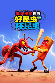 镜头里的世界：好昆虫与坏昆虫
