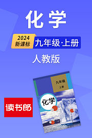 2024新课标化学九年级上册人教版