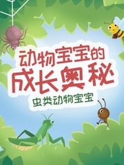 虫类动物宝宝动物宝宝的成长奥秘