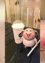 猪小屁：喝奶茶是不会胖的，看到接下来发生的一幕，太逗了！