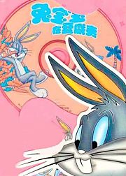 兔宝宝在夏威夷