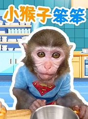小猴子笨笨