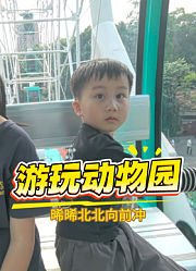 晞晞北北向前冲
