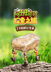 阿班可可探索之旅-了不起的小生命