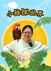 小梅探世界第1季