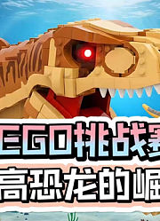 欢迎来到我的LEGO游戏世界