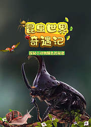 昆虫世界奇遇记，探秘小动物颜色的秘密