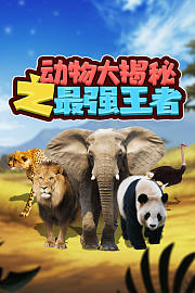 动物大揭秘之最强王者